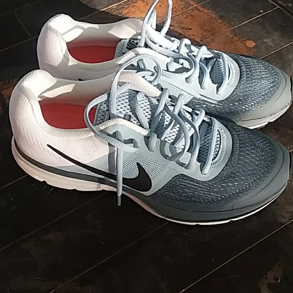 Nike Fitsole 2 Pegasus 30